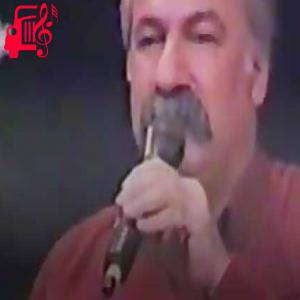 دانلود آهنگ آهنگ هنگه زرد از نجمه الدین غلامی + متن ترانه