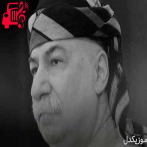 دانلود آهنگ آهنگ هناری وی هناری از نجمه الدین غلامی + متن ترانه
