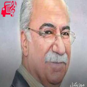 دانلود آهنگ آهنگ نمردم اگر ام جاره بی تو از نجمه الدین غلامی + متن ترانه