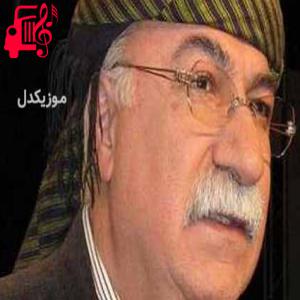 دانلود آهنگ آهنگ نازیله از نجمه الدین غلامی + متن ترانه