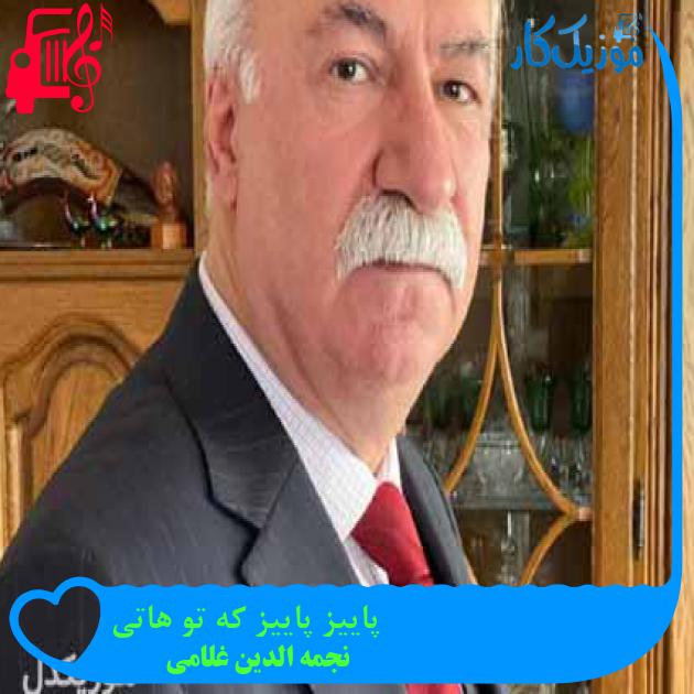آهنگ پاییز پاییز که تو هاتی از نجمه الدین غلامی + متن ترانه آهنگ پاییز پاییز که تو هاتی از نجمه الدین غلامی + متن ترانه