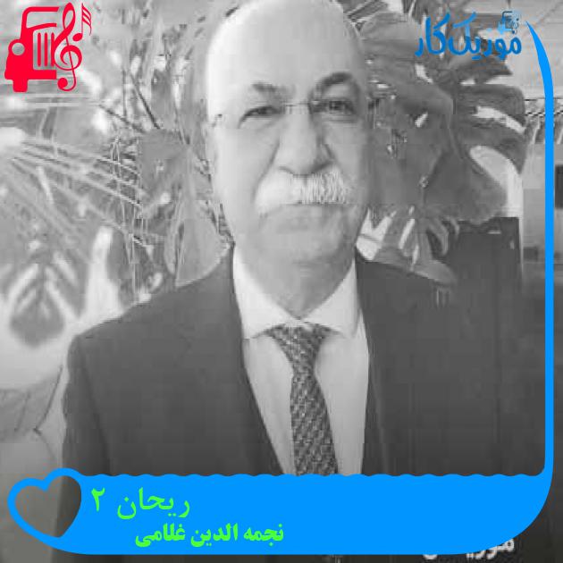 آهنگ ریحان 2 از نجمه الدین غلامی + متن ترانه