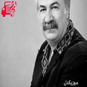 دانلود آهنگ آهنگ سروی بیانی از نجمه الدین غلامی + متن ترانه