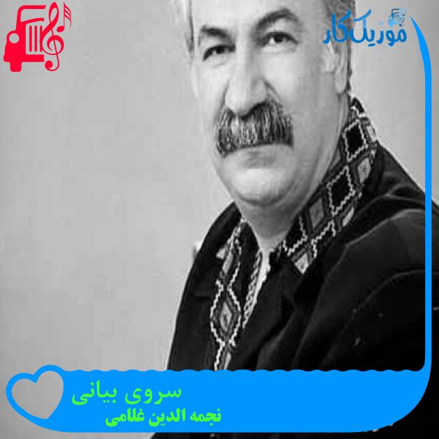 آهنگ سروی بیانی از نجمه الدین غلامی + متن ترانه آهنگ سروی بیانی از نجمه الدین غلامی + متن ترانه