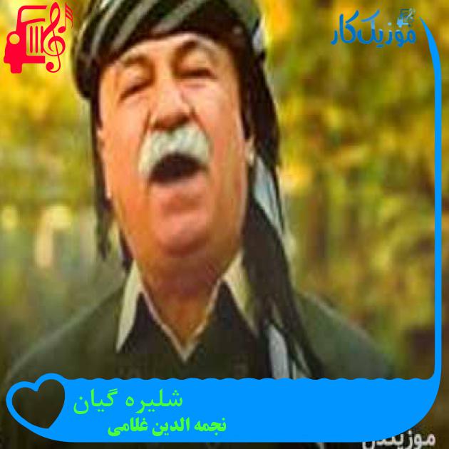 آهنگ شلیره گیان از نجمه الدین غلامی + متن ترانه