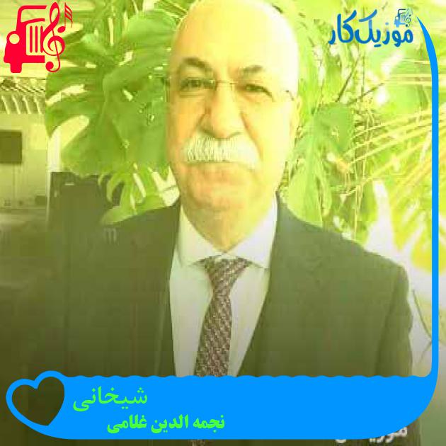 آهنگ شیخانی از نجمه الدین غلامی + متن ترانه آهنگ شیخانی از نجمه الدین غلامی + متن ترانه