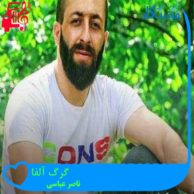 آهنگ گرگ آلفا از ناصر عباسی + متن ترانه