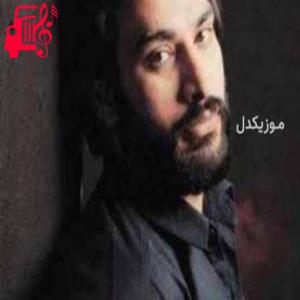 دانلود آهنگ آهنگ انسان غافل از ناصر عبداللهی