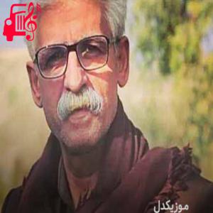 دانلود آهنگ آهنگ گل وناو شیبا خانمی از ناصر رزازی + متن ترانه