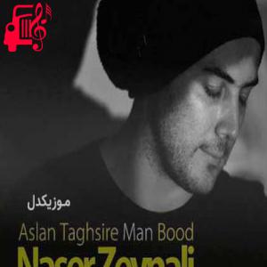 دانلود آهنگ آهنگ ببخشید اگه ندیدمت اگه نشد اینارو بگم از ناصر زینعلی + متن ترانه