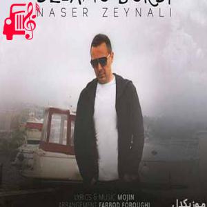 کاور آهنگ دلمو بردی از ناصر زینعلی + متن ترانه اثر ناصر زینعلی