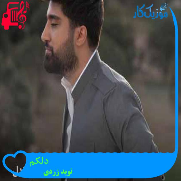 آهنگ دلکم از نوید زردی + متن ترانه آهنگ دلکم از نوید زردی + متن ترانه