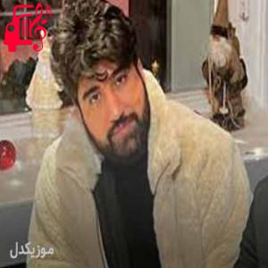 دانلود آهنگ آهنگ ته نیا جاریک بژیم از نوید زردی + متن ترانه