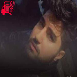 کاور آهنگ ریمیکس واراوا واراوا از نوید زردی + متن ترانه اثر نوید زردی