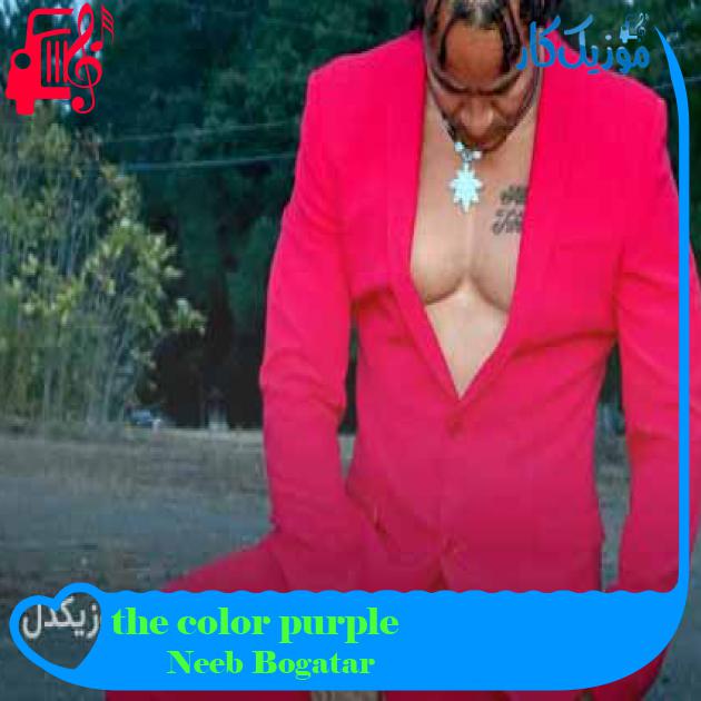 آهنگ the color purple از Neeb Bogatar + متن ترانه