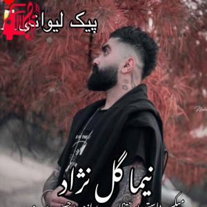 کاور آهنگ پیک لیوانی از نیما گلنژاد اثر نیما گلنژاد