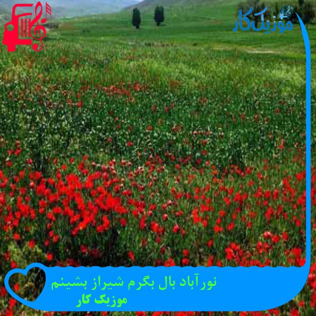 آهنگ نورآباد بال بگرم شیراز بشینم از موزیک کار + متن ترانه آهنگ نورآباد بال بگرم شیراز بشینم از موزیک کار + متن ترانه
