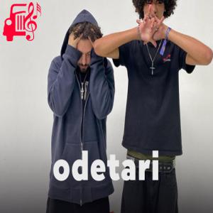 دانلود آهنگ آهنگ FUNCTIONING ALCOHOLIC از odetari