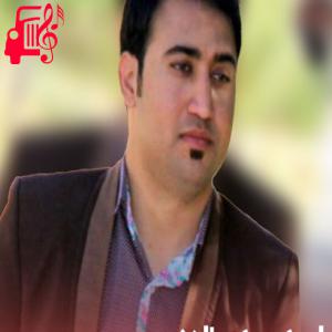 دانلود آهنگ آهنگ در این غربت خدا شده شیدا دلم از تمام اجراها + متن ترانه