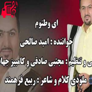 کاور آهنگ ای وطنوم از امید صالحی اثر امید صالحی