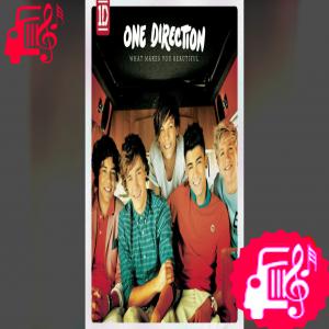 دانلود آهنگ آهنگ what makes you beautiful از one direction