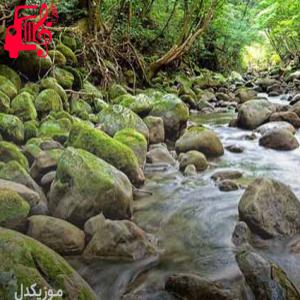 دانلود آهنگ آهنگ شونه به شونه تا خونه قدم میزنیم از موزیک کار + متن ترانه