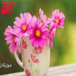 دانلود آهنگ آهنگ سیاه سیاه دنیای رنگی از موزیک کار + متن ترانه