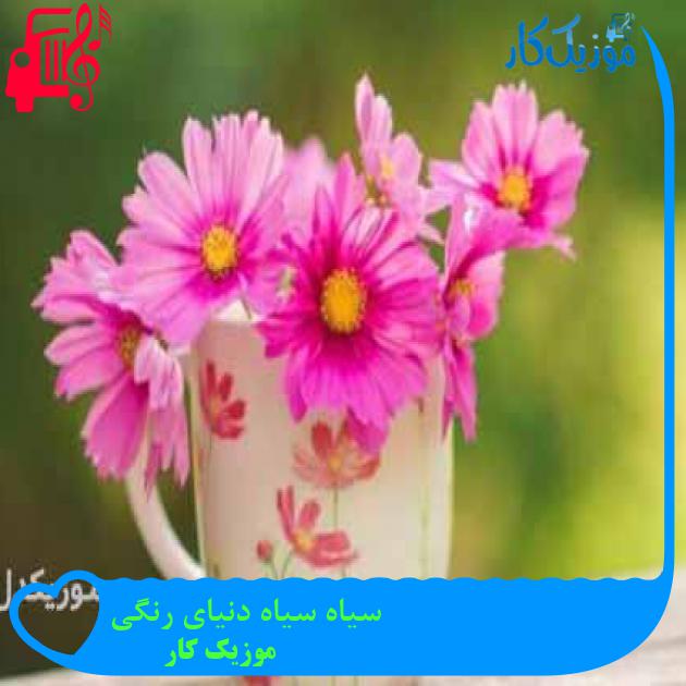 آهنگ سیاه سیاه دنیای رنگی از موزیک کار + متن ترانه آهنگ سیاه سیاه دنیای رنگی از موزیک کار + متن ترانه