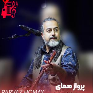 دانلود آهنگ آهنگ دیوانه تری از پرواز همای + متن ترانه