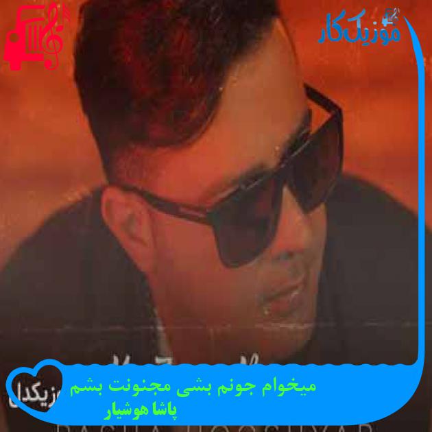 آهنگ میخوام جونم بشی مجنونت بشم از پاشا هوشیار + متن ترانه آهنگ میخوام جونم بشی مجنونت بشم از پاشا هوشیار + متن ترانه