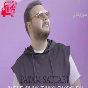 کاور آهنگ دل من تنگ شده از پیام ستاری + متن ترانه اثر پیام ستاری