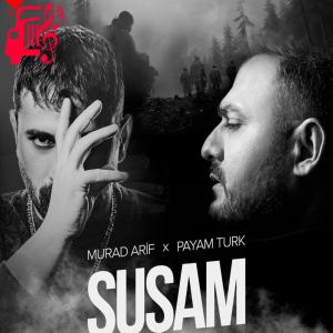 دانلود آهنگ آهنگ Şuşam از پیام تورک