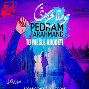 کاور آهنگ تو مثل خودتی مثل هیچکسی نیستی گلم از پدرام فرهمند + متن ترانه اثر پدرام فرهمند