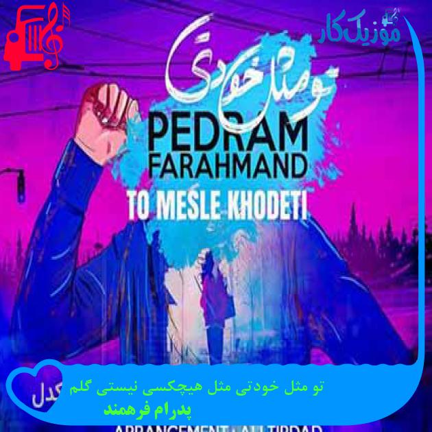 آهنگ تو مثل خودتی مثل هیچکسی نیستی گلم از پدرام فرهمند + متن ترانه آهنگ تو مثل خودتی مثل هیچکسی نیستی گلم از پدرام فرهمند + متن ترانه