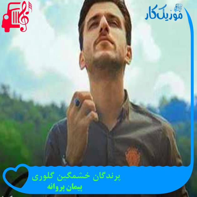 آهنگ پرندگان خشمگین گلوری از پیمان پروانه + متن ترانه آهنگ پرندگان خشمگین گلوری از پیمان پروانه + متن ترانه