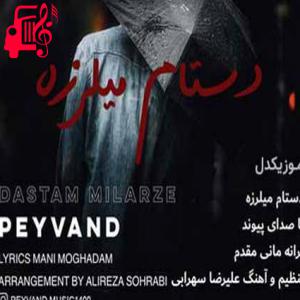 کاور آهنگ هوای دل ابری شده حال دلم بدتر شده از پیوند اثر پیوند