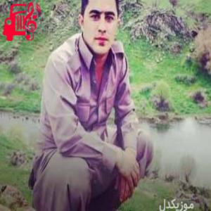کاور آهنگ تاران کوچه به کوچه از پیشرو هورامی + متن ترانه اثر پیشرو هورامی