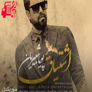 دانلود آهنگ آهنگ اشتیاقی که به دیدار تو دارد دل من از پویا شبیریان + متن ترانه