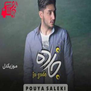 کاور آهنگ تنها شدی دیدی تو شدی افسرده از پویا سالکی + متن ترانه اثر پویا سالکی