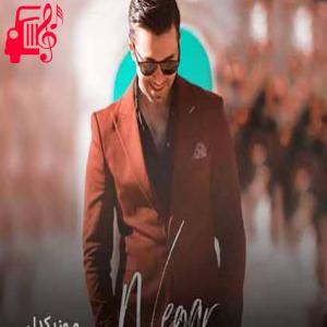 دانلود آهنگ آهنگ یک تابلو از دلدار خوبم روی دیوار از پویان نجف + متن ترانه