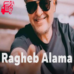 کاور آهنگ ضوى اللیل از راغب علامه اثر راغب علامه