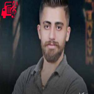 کاور آهنگ گل قرمز از رضا فلاح اثر رضا فلاح