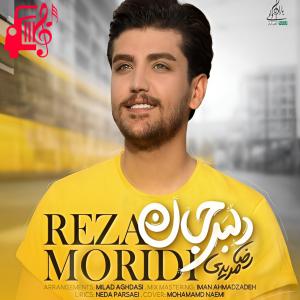 دانلود آهنگ دانلود آهنگ دلبر جان از رضا مریدی با متن (کامل) |‌ فرمت MP3