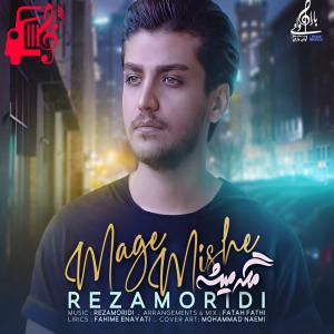 کاور دانلود آهنگ مگه میشه از رضا مریدی با متن (کامل) |‌ فرمت MP3 اثر رضا مریدی