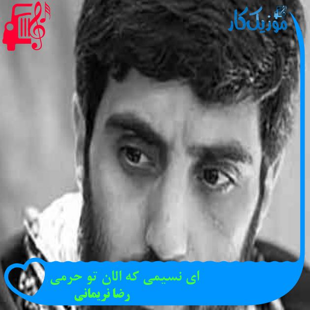 آهنگ ای نسیمی که الان تو حرمی از رضا نریمانی + متن ترانه آهنگ ای نسیمی که الان تو حرمی از رضا نریمانی + متن ترانه