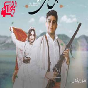 دانلود آهنگ آهنگ پل مخملی از رضا پارسایی + متن ترانه