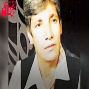 دانلود آهنگ آهنگ کوش طلا از رضا سقایی + متن ترانه