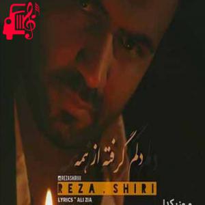 کاور آهنگ به قلب بی قرار من چرا دمی نمیزنی از رضا شیری + متن ترانه اثر رضا شیری