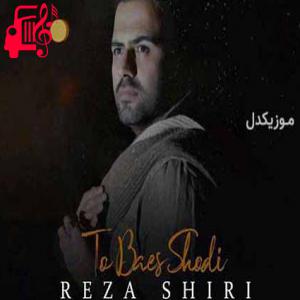 دانلود آهنگ آهنگ هنوز عطر تو تو هوای منه از رضا شیری + متن ترانه