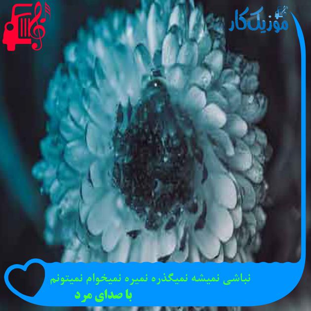 آهنگ نباشی نمیشه نمیگذره نمیره نمیخوام نمیتونم از با صدای مرد + متن ترانه آهنگ نباشی نمیشه نمیگذره نمیره نمیخوام نمیتونم از با صدای مرد + متن ترانه